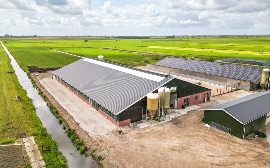 Melkveestal Stolwijk